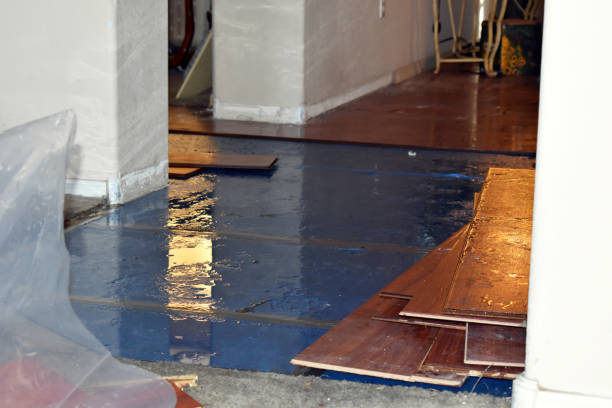 Professional Sewage Cleanup technician working in Newton Falls, OH